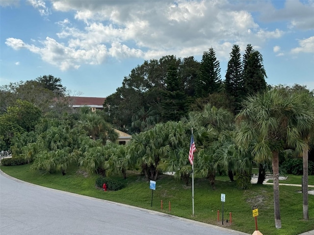 view of property's community featuring a lawn