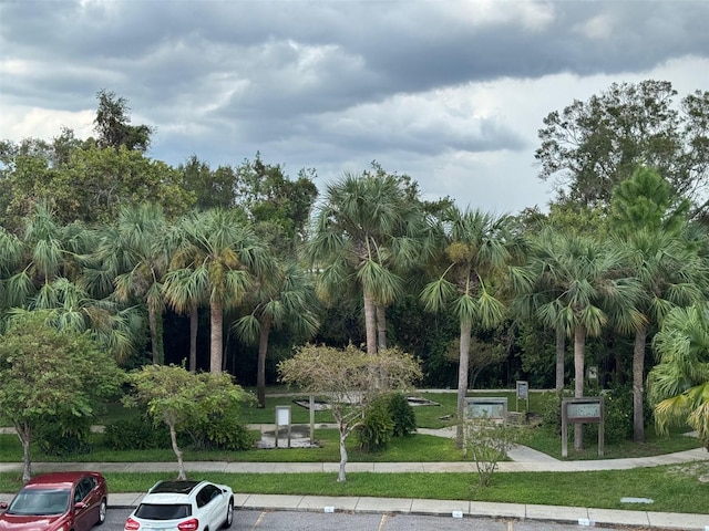 view of home's community featuring a yard