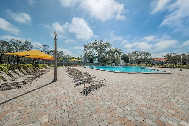 view of swimming pool featuring a patio area