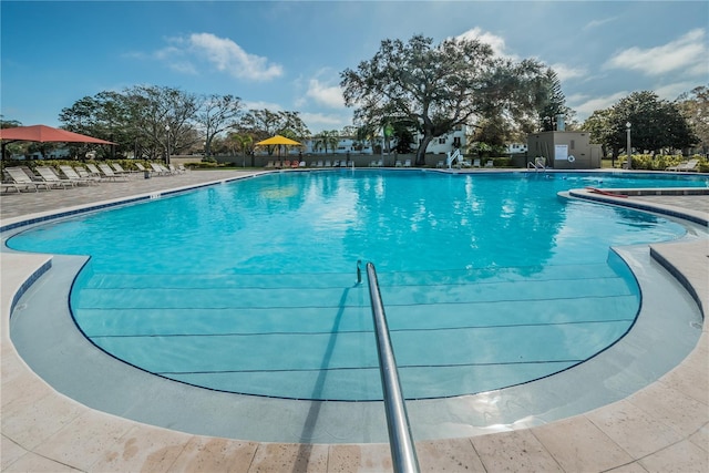 view of swimming pool featuring a patio