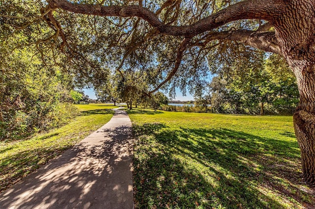 surrounding community with a lawn