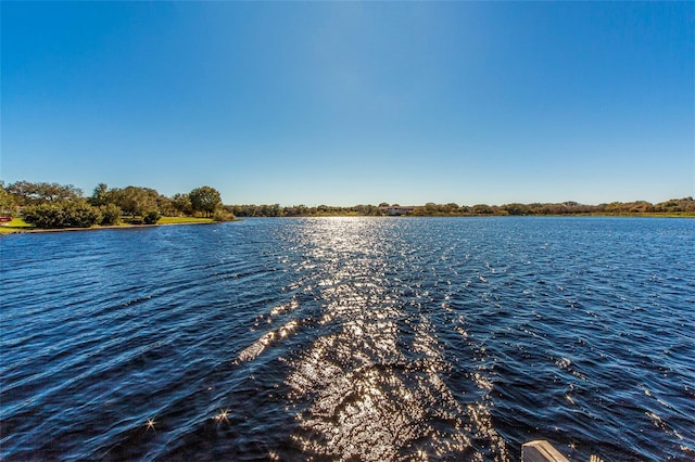 property view of water