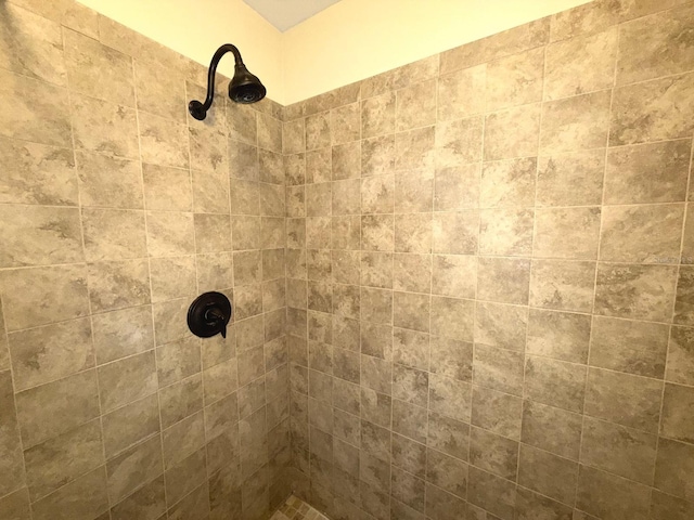 interior details featuring tiled shower