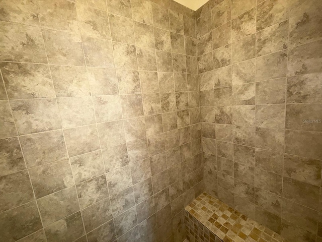 interior details featuring a tile shower