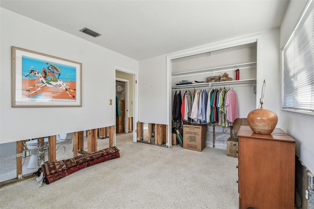 bedroom with a closet