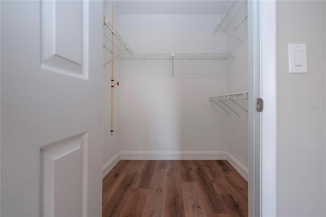 walk in closet featuring dark wood-type flooring