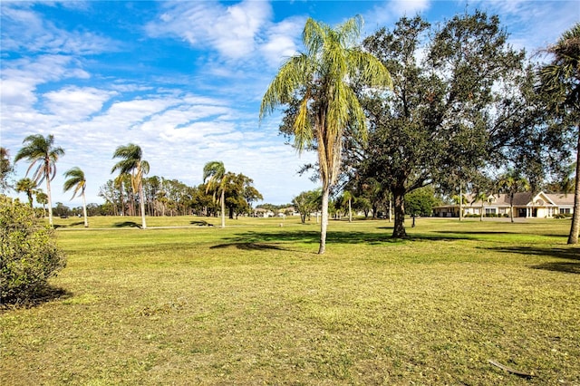 surrounding community featuring a lawn