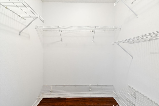 6213 Venezia Pl, Riverview, FL 33578 - spacious closet with wood finished floors