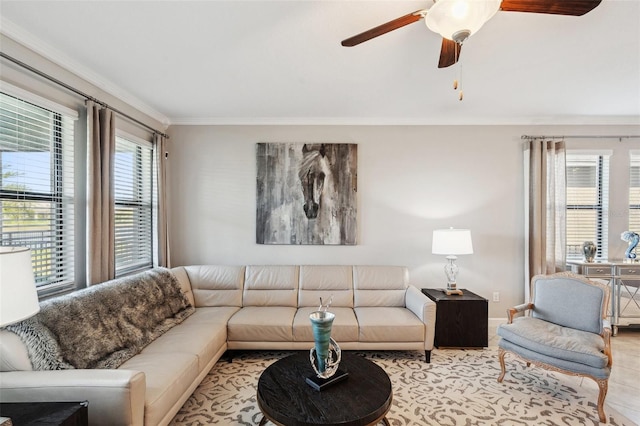 living room featuring ceiling fan and crown molding