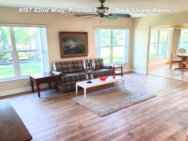 living room with ceiling fan and light hardwood / wood-style flooring