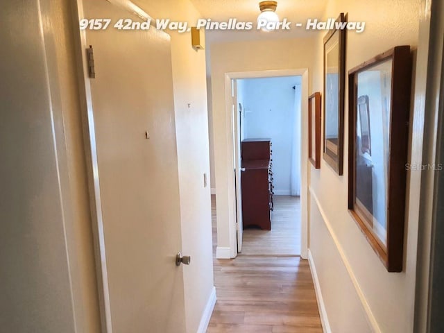 hall with hardwood / wood-style flooring