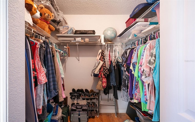 spacious closet featuring wood-type flooring