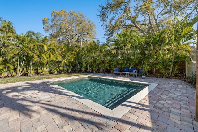 view of swimming pool with a patio area