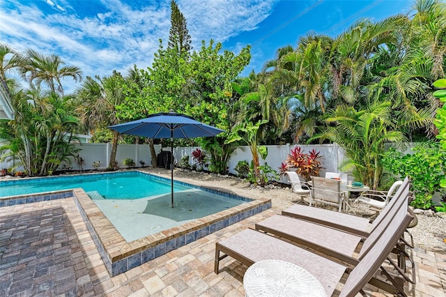 view of swimming pool featuring a patio