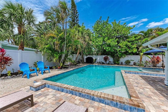 view of pool featuring a patio