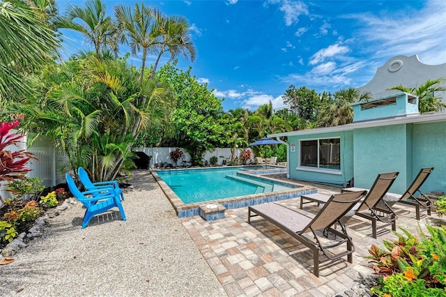 view of swimming pool with a patio