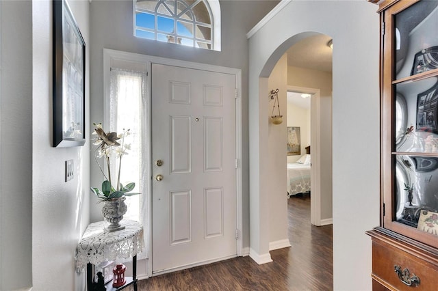 entryway with dark hardwood / wood-style flooring