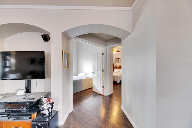 hallway with crown molding and dark hardwood / wood-style flooring