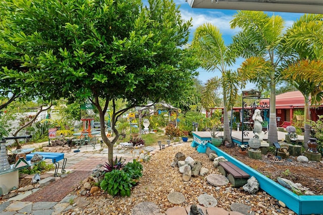 view of yard featuring a patio area