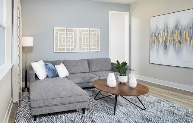 living room with hardwood / wood-style floors