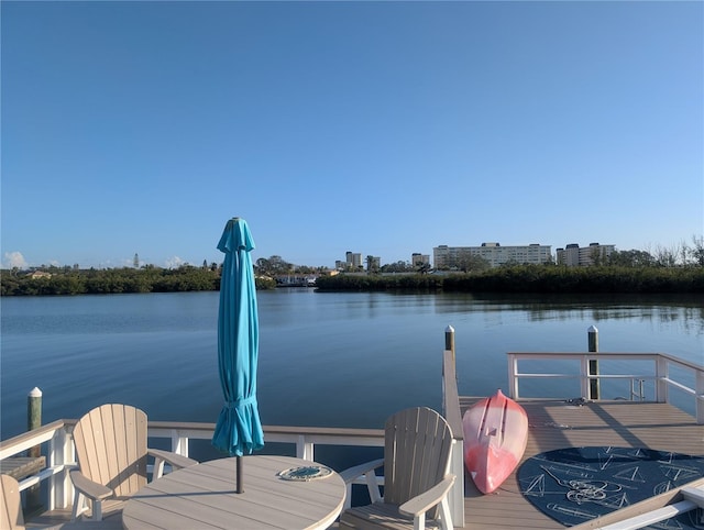 dock area with a water view