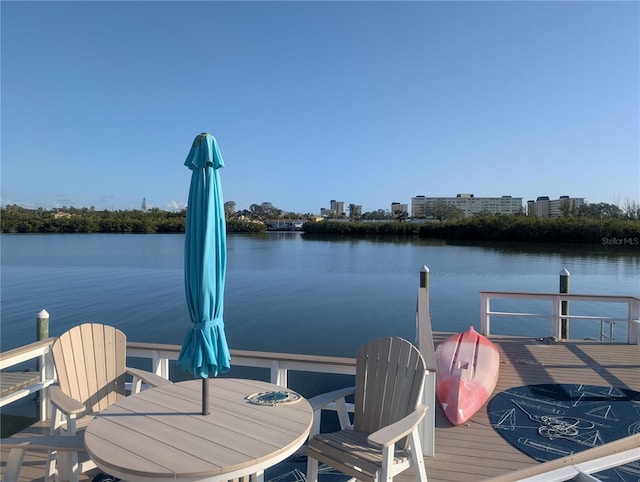 dock area with a water view