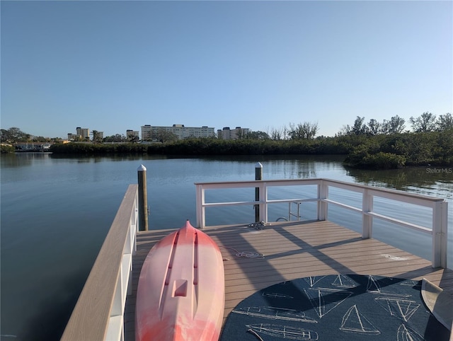 dock area with a water view