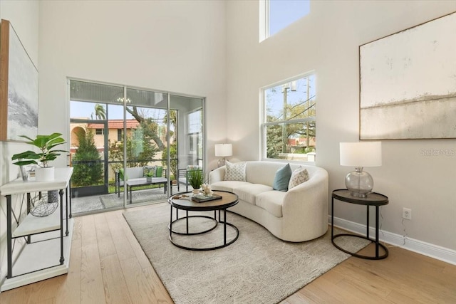 living room with hardwood / wood-style flooring and a high ceiling