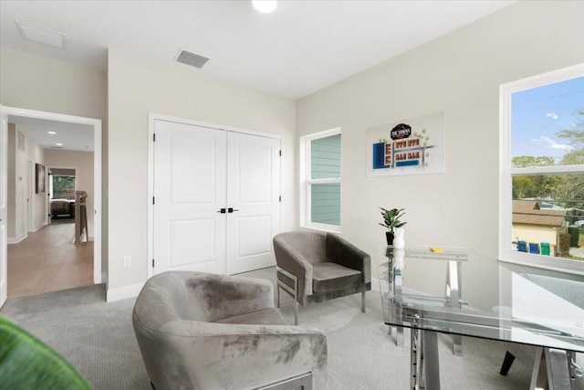 sitting room featuring carpet