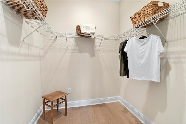 walk in closet featuring hardwood / wood-style floors