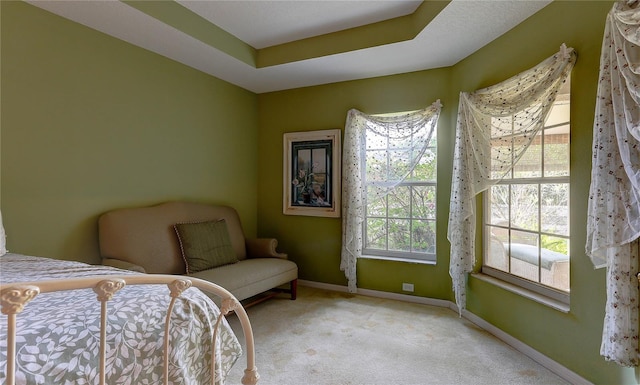 carpeted bedroom with a raised ceiling