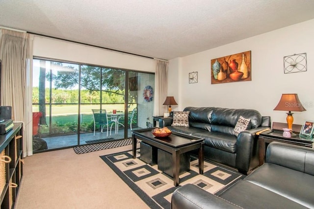 carpeted living room featuring a textured ceiling