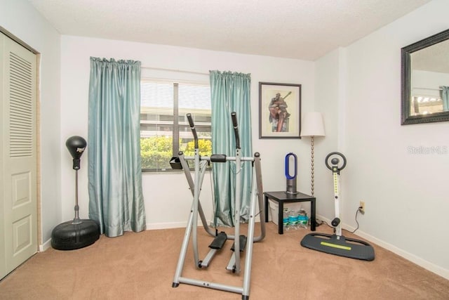 workout area featuring carpet flooring