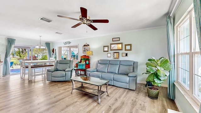 living room with ceiling fan with notable chandelier, light hardwood / wood-style floors, and crown molding