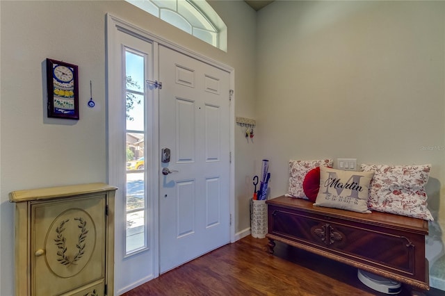 entryway with plenty of natural light and dark hardwood / wood-style floors