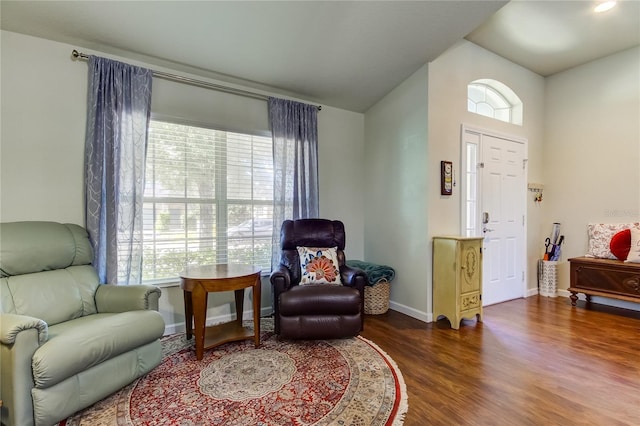 living area featuring dark wood-type flooring