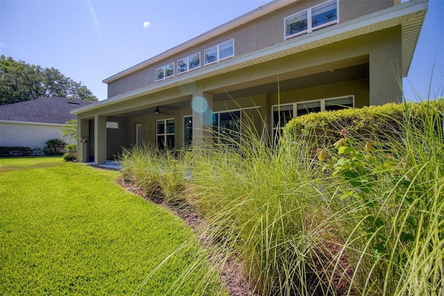 back of house featuring a lawn