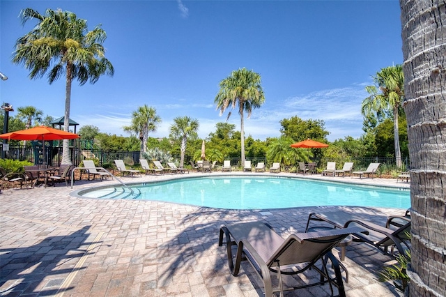 view of pool featuring a patio area