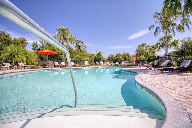 view of pool featuring a patio