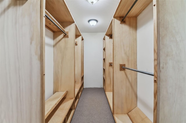 spacious closet featuring carpet floors