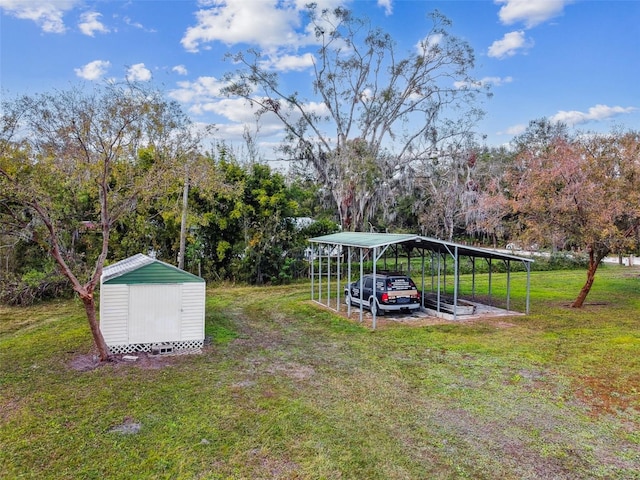 view of yard featuring a carport and a shed