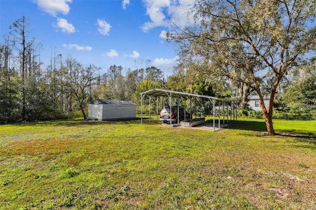 view of yard featuring a carport and a storage unit