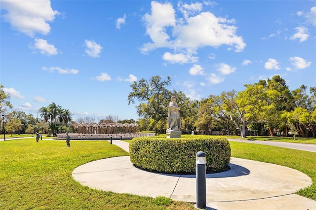 view of community featuring a lawn