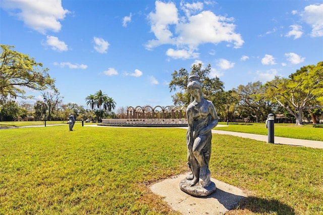 view of community with a yard