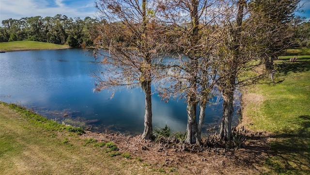 property view of water