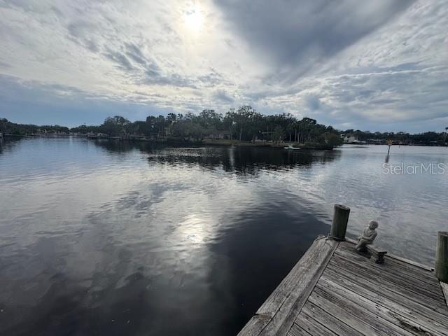 view of dock featuring a water view