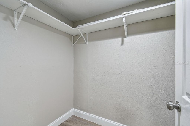 walk in closet featuring hardwood / wood-style flooring