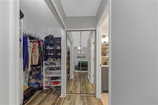 walk in closet with ceiling fan and wood-type flooring