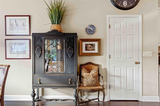 living area featuring hardwood / wood-style floors