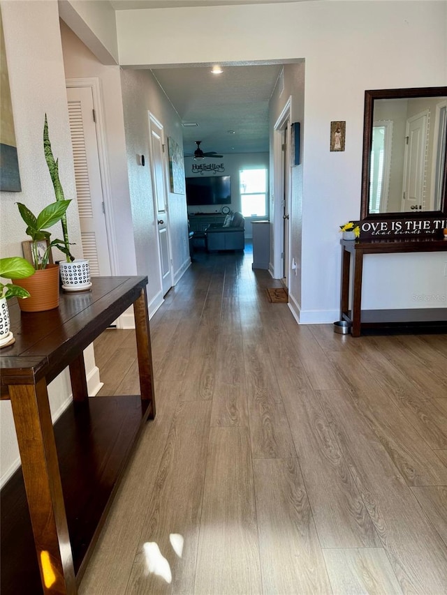 hall featuring hardwood / wood-style floors